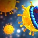 Други вирусни заболявания